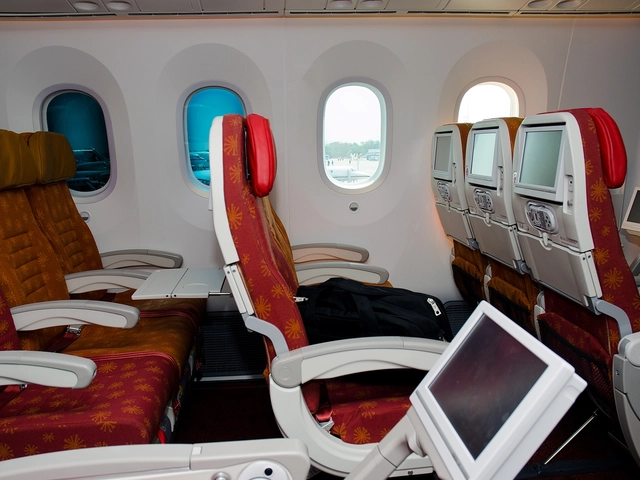 How does the interior of the Air India One look like?